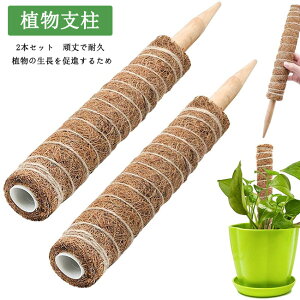 観葉植物 つる その他の農業資材 ガーデニング用品の人気商品 通販 価格比較 価格 Com