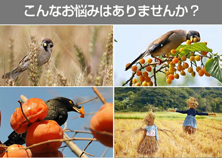 2021年激安 鳥よけテープ 10個セット 乱れ咲き反射 ホログラム 害鳥 鳩よけ カラス 鳥よけテープ 防鳥 2個セット 乱れ咲き反射 ホログラム 害鳥 鳩よけ カラス