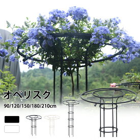 ガーデニング用支柱 オベリスク 支柱 トレリス 操作簡単 金属製 簡易組立式 つる性植物 つる花 バラ用 ガーデン 支柱 花支え 花 園芸用品 アサガオ 庭 誘引 植物サポート オベリスクアーチ プランター おしゃれ 園芸用品 植物 鉢 栽培 装飾