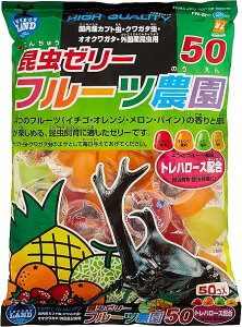 CZNgh [[ 16g×50 FN-500 t[c_50