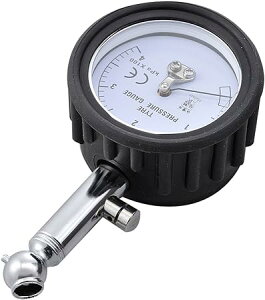 fCgi(Daytona) oCNp ^GAQ[W [Xout 41779