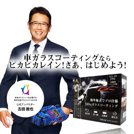 3年間ノーワックス ガラスコーティング ピカピカレイン プレミアム デラックス ガラスコーティング剤 車 ピカピカレインプレミアム ガラスコート [TOP-PREMIUM]
