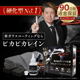 車 コーティング剤 ガラスコーティング剤 ピカピカレイン プレミアムデラックス 3年間ノーワックス 硬化型 ガラスコーティング 撥水 滑水 新車コーティング カーコーティング 洗車 ガラスコート 【リニューアル】 [TOP-PREMIUM]