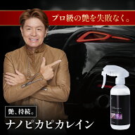 ピカピカレイン メンテナンス コーティング剤 洗車 艶 業務用 光沢 超撥水 除去 汚れ プロ 簡単 キズ ボ…