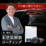 ピカピカレイン 樹脂コーティング 復活 黒 車 車 艶 耐久 洗車 パーツ 劣化 保護 白化 バンパー ツヤ ブ…