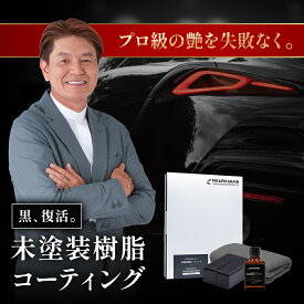 ピカピカレイン 樹脂コーティング 復活 黒 車 車 艶 耐久 洗車 パーツ 劣化 保護 白化 バンパー ツヤ ブラック プラスチック 超撥水 uv 復元 日本製 光沢 硬化 キズ レジンコーティング ワックス 新車 簡単 紫外線 未塗装樹脂コーティング [TOP-PLA]【送料無メール便可】