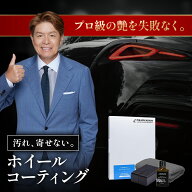 ピカピカレイン ホイールコーティング 洗車 車 アルミホイール 硬化 ダスト ブレーキ 耐久 業務用 樹脂 …
