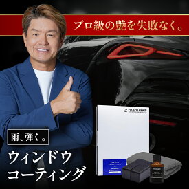 ピカピカレイン ウィンドウコーティング ガラス ウィンドウ フロントガラス 車 洗車 窓ガラス 油膜 窓 視界 スポンジ ウインドウ 業務用 除去 自動車 耐久 雨 ウロコ 超撥水 日本製 クロス ワイパー ガラスコート 水垢 車窓 研磨 洗浄 [TOP-WINDOW-R]【メール便送料無料】