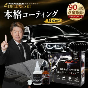 ピカピカレイン プレミアムデラックス 車 ガラスコーティング剤 コーティング剤 ガラスコート ボディコーティング 超撥水