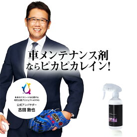 メンテナンス剤 ナノピカピカレイン 滑水性 ガラスコーティング 車 トップコート スプレーして拭くだけ 簡単コーティング！ ピカピカレイン ガラスコーティング剤 自動車 [TOP-KMAINTE]