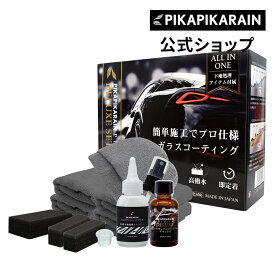 車 コーティング剤 ガラスコーティング剤 ピカピカレイン プレミアムデラックス 3年間ノーワックス 硬化型 ガラスコーティング 撥水 滑水 新車コーティング カーコーティング 洗車 ガラスコート 【リニューアル】 [TOP-PREMIUM]