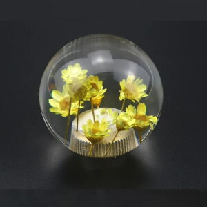 TRS ی^ ԃVtgmu 54mm 12×1.25 8mm/10mmADt bh/CG[/sN/p[v/O[