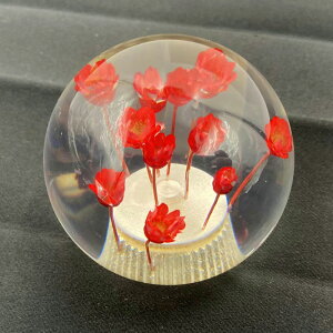 TRS ی^ ԃVtgmu 54mm 12×1.25 8mm/10mmADt bh/CG[/sN/p[v/O[