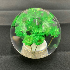 TRS ی^ ԃVtgmu 54mm 12×1.25 8mm/10mmADt bh/CG[/sN/p[v/O[