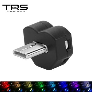 TRS USB LEDC~l[VCg Type-C 8F  z^ 380255