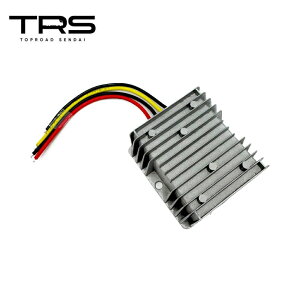TRS Ro[^[ DC12V24V d \ 10A 310159