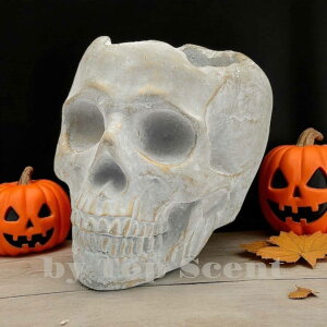 yDWHOMEFcXzA}LhiÂEbfBȍjb 50ԔR VRbNX Mtg  K  aMtg VMtg ƃMtg ybgS 