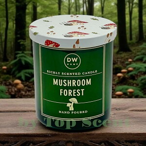 yDWHOMEFcXzA}LhitbVȍjb 15~33ԔR VRbNX Mtg  K  aMtg VMtg ƃMtg ybgS 