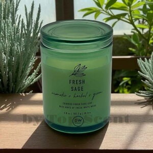 yDWHOMEFcXzA}LhitbVXC[gȍjb 12ԔR VRbNX Mtg  K  aMtg VMtg ƃMtg ybgS 