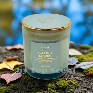 yDWHOMEFcXzA}LhitbVXC[gȍjb 12~33ԔR VRbNX Mtg  K  aMtg VMtg ƃMtg ybg