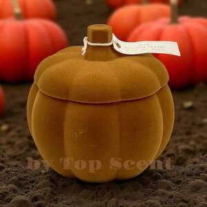 yDWHOMEFcXzA}LhiÂH̍jb 56ԔR VRbNX Mtg  K  aMtg VMtg ƃMtg ybgS  Đ