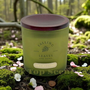 yDWHOMEFcXzA}Lhit[eB[EbfBȍjb 50ԔR VRbNX Mtg  K  aMtg VMtg ƃMtg ybg