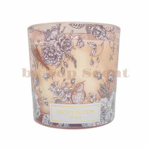 yDWHOMEFcXzA}Lhit[̍jb 40ԔR VRbNX Mtg  K  aMtg VMtg ƃMtg ybgS  