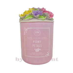 yDWHOMEFcXzA}Lhit[/t[c̍jb 40ԔR VRbNX Mtg  K  aMtg VMtg ƃMtg ybgS 