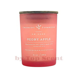 yDWHOMEFcXzA}Lhit[/t[eB[̍jb 15~30ԔR VRbNX Mtg  K  aMtg VMtg ƃMtg ybg