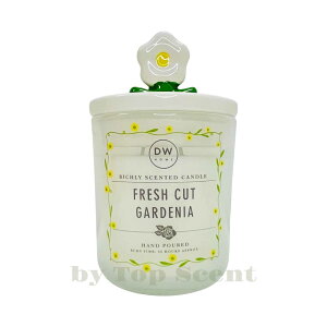 yDWHOMEFcXzA}Lhit[̍jb 32ԔR VRbNX Mtg  K  aMtg VMtg ƃMtg ybgS  