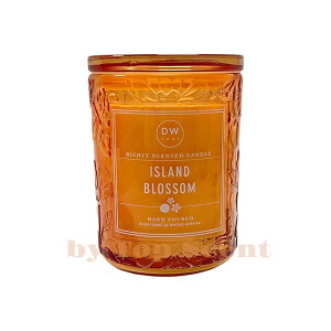 yDWHOMEFcXzA}Lhit[̍jb 56ԔR VRbNX Mtg  K  aMtg VMtg ƃMtg ybg S  