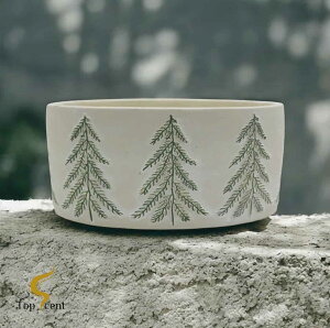 yDWHOMEFcXzA}Lhi̍jb 50ԔR VRbNX Mtg  K  aMtg VMtg ƃMtg ybgS  Đp