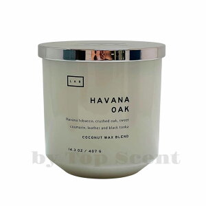 yDWHOMEFcXzA}LhiEbh/XN̍jb 50ԔR VRbNX Mtg  K  aMtg VMtg ƃMtg ybgS 