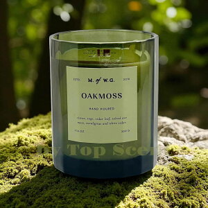 yDWHOMEFcXzA}Lhii`tbVȍjb 40ԔR VRbNX Mtg  K  aMtg VMtg ƃMtg ybg