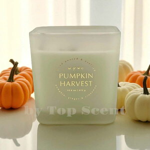 yDWHOMEFcXzA}LhiEbfBpvL̍jb 40ԔR VRbNX Mtg  K  aMtg VMtg ƃMtg ybgS 