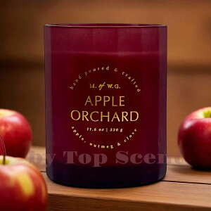 yDWHOMEFcXzA}Lhit[cEbh̍jb 30ԔR VRbNX Mtg  K  aMtg VMtg ƃMtg ybgS 