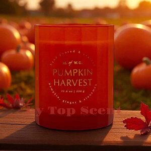 yDWHOMEFcXzA}Lhit[cEbh̍jb 30ԔR VRbNX Mtg  K  aMtg VMtg ƃMtg ybgS 