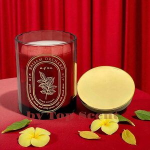 yDWHOMEFcXzA}LhiEbfBt[̍jb 33ԔR VRbNX Mtg K  aMtg VMtg ƃMtg ybgS 