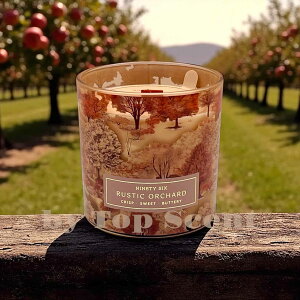 yDWHOMEFcXzA}Lhii`̍jb 55ԔR VRbNX Mtg  K  aMtg VMtg ƃMtg ybgS  