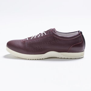 gbvZuyzyT7-At 260 BURGUNDYzCFXj[J[ {v t@bV jZbNX NVbN hXXj[J[ nhCh Om[Y I[ZeBbN