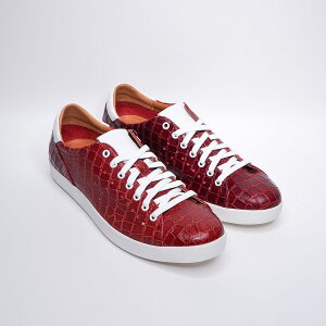 v~AZuyPS-751@BURG crocozVIBRAM Xj[J[ {v t@bV NVbN lt@bV premierseven NR ^ Yt@bV nhCh _