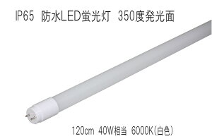 OEƖ@hLEDu@IP65@350x@120cm@6000K@40W@O[Hsv iAX-T812-P18W