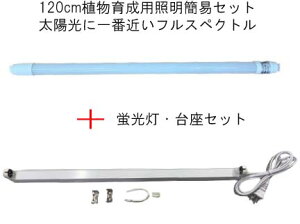 ȒPEȈՐݒu@A琬 120cmLEDuZbg RZgztŊȒPݒu