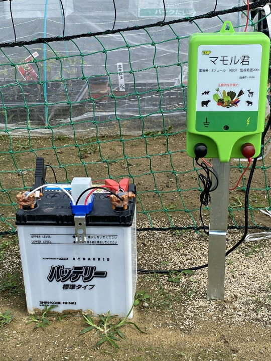 楽天市場】電気柵電源 マモル君 防獣 害獣対策 アニマルバスター DC12V 