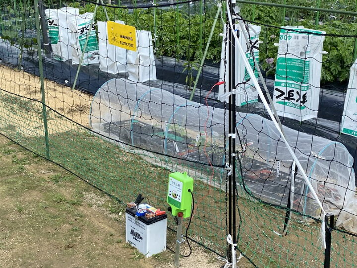 楽天市場】5枚セット『 電気柵危険表示板 』両面印刷 高電圧 アニマル 