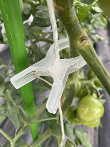 }N s^b` sUNbv  NL^b` 1.2cm/2cm/3cm g}g LE  iX s[} VVgE XCJ XibvGhE NLU sŒ莑 ZԌŒ P ֗