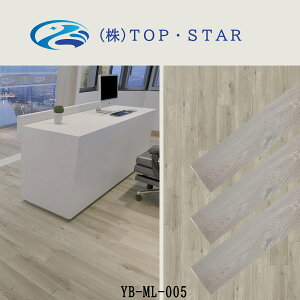 TOP.STAR tA^C@\邾@t[OV[g 12F \^Cv ؖ 3 u ^C t[O^C@DIY V[g t[O ؖڒ@NbVtA