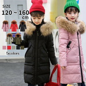 _ER[g q ̎q _EWPbg N[t@[t O ʊw LbY h H~ WjA AE^[ ~ ʉ AEghA LbYWPbg ۉʔQ̂WP