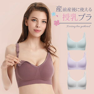  uW[ Y YO OJ 傫TCY h~ iCgu  킢  DP XgbvI[v   Jԃ}^jeBu }^jeB