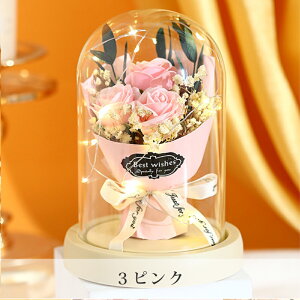 ̓ ԑ \[vt[ Iׂԑ Ԃ Ԕ a ̓Mtg 2025 ̓v[g A u[P J[l[V Ђ܂ o [Y  ͂Ȃ C{[ J[